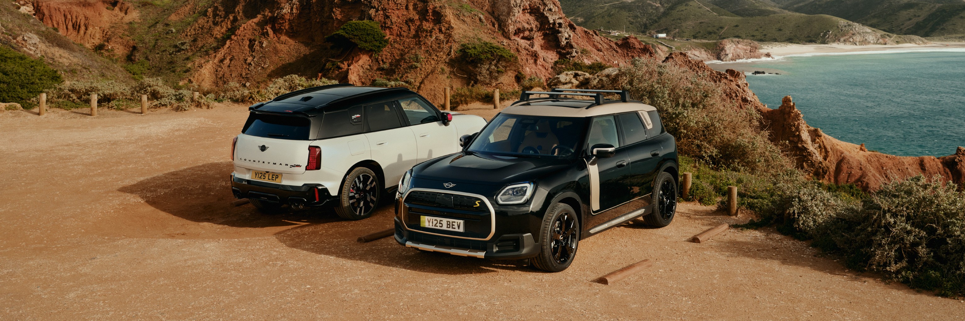 外交官車両・政府公用車